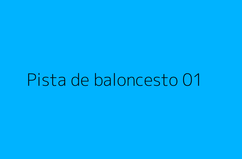 Pista de baloncesto 01